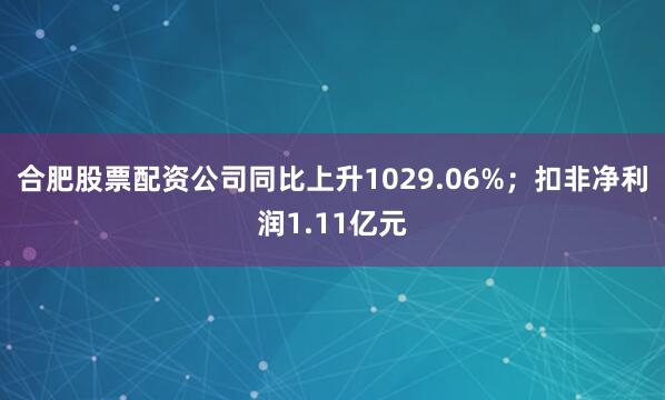 合肥股票配资公司同比上升1029.06%；扣非净利润1.11亿元